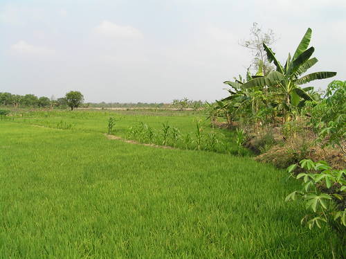2005_indonesiatrip_137_2